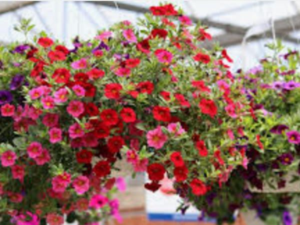 Event Image - 701QP00001JsJNBYA3